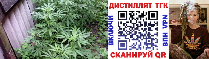 ТГК концентрат  гидра   Инта 