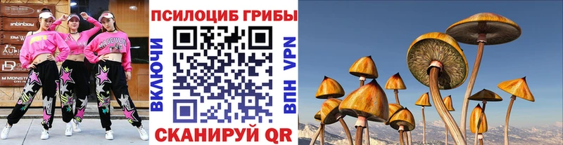 купить наркотик  Инта  Псилоцибиновые грибы мицелий 